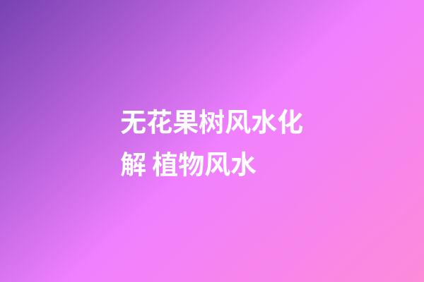 无花果树风水化解 植物风水